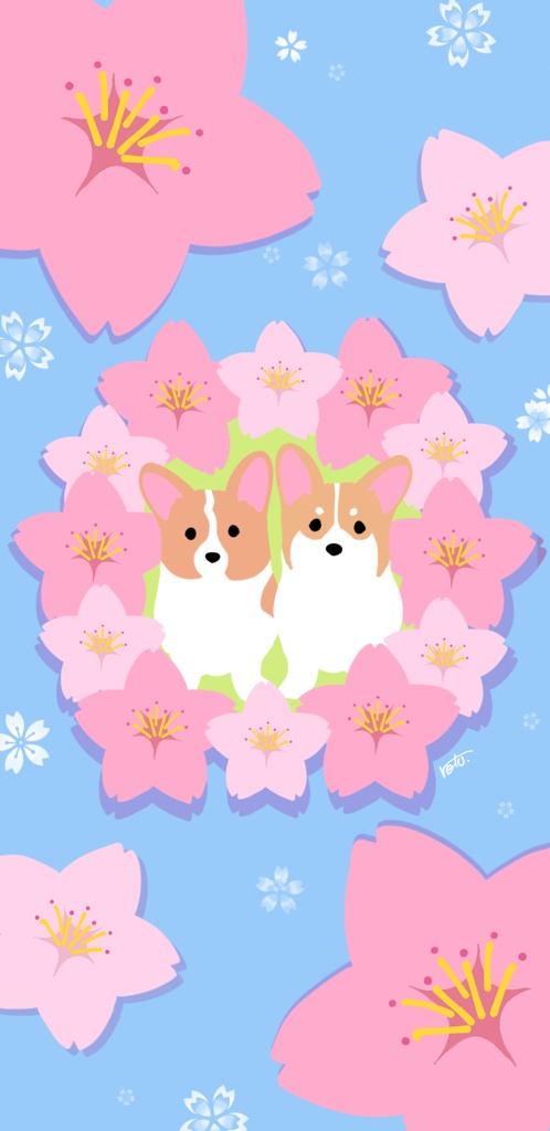 【無料】コーギー2匹×桜【スマホ壁紙】