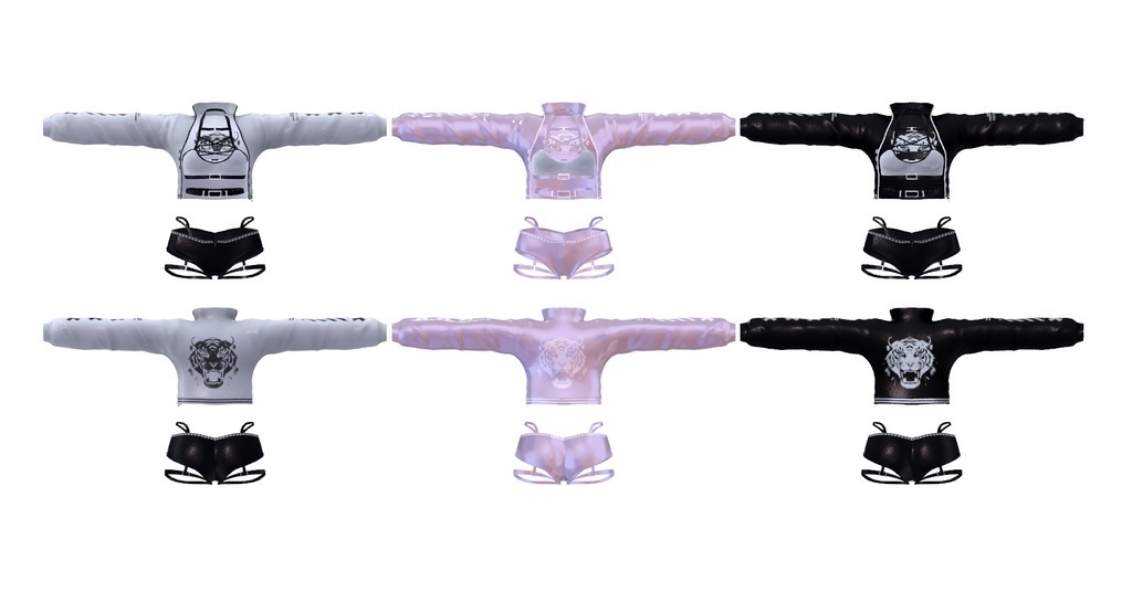 ⭐️萌 用衣装⭐️4着の服装 moe (期間割引)