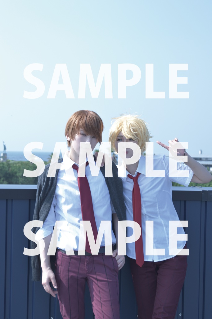 ランダムブロマイド