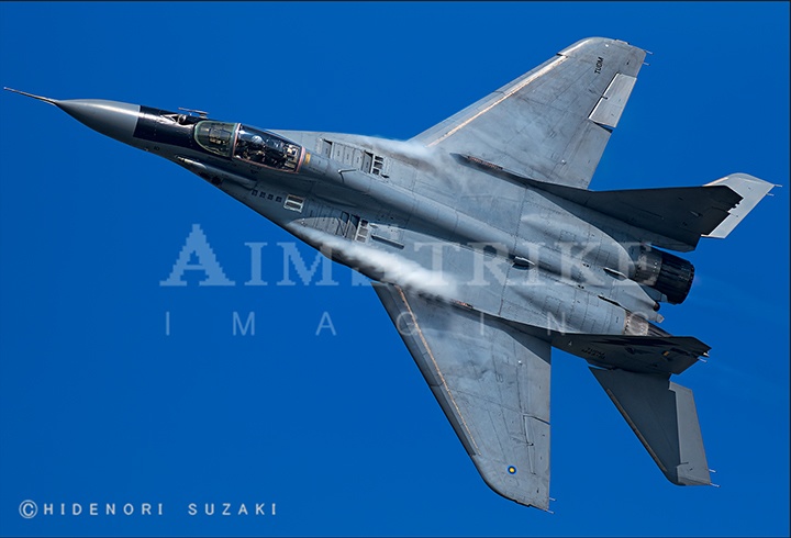 MiG-29N Dynamic Display in LIMA
