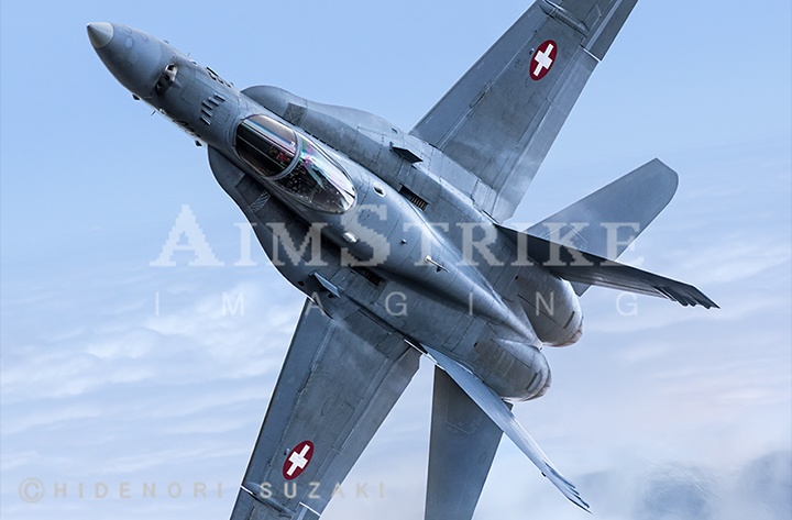 Hornet Off Dry Invert Wildgärst