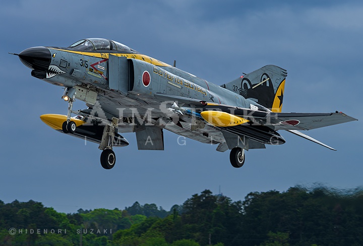 Go for it!! 301sq Livery F-4EJ West L/D