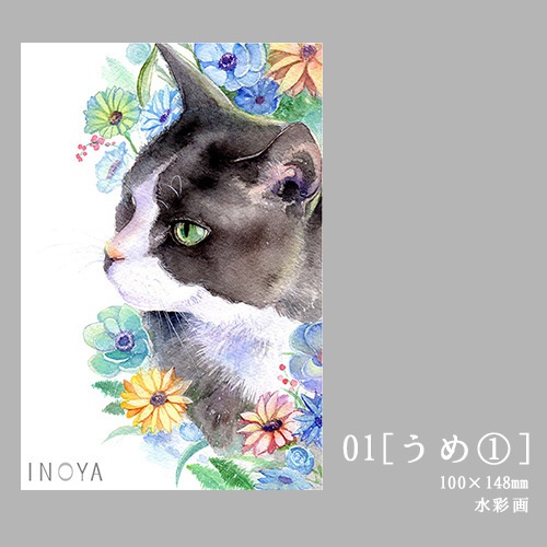 ポストカード 猫 Inoya Booth