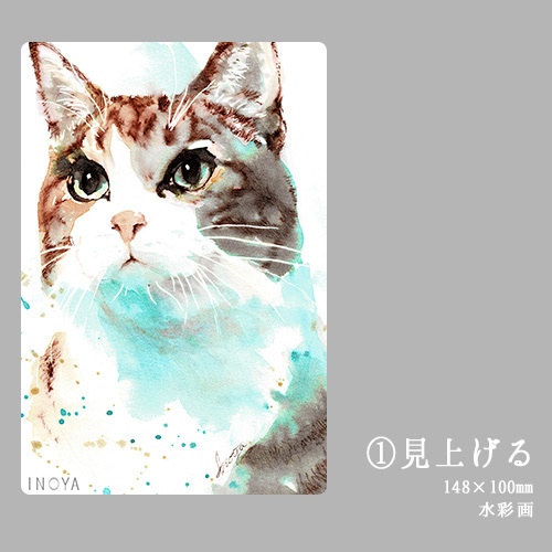 【ポストカード】猫のイラスト