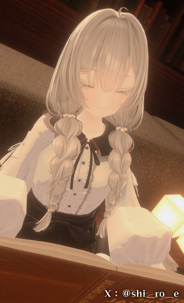 ✨️販売セール中!✨️【オリジナル3Dヘアモデル】みつあみローツイン(mituami_LowTwin)