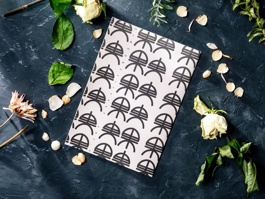 〈CIRCUS?circus?〉zine vol.1【日曜日の朝/果実】