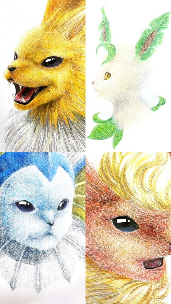 ポストカード1枚 ブイズ リアルポケモンイラスト