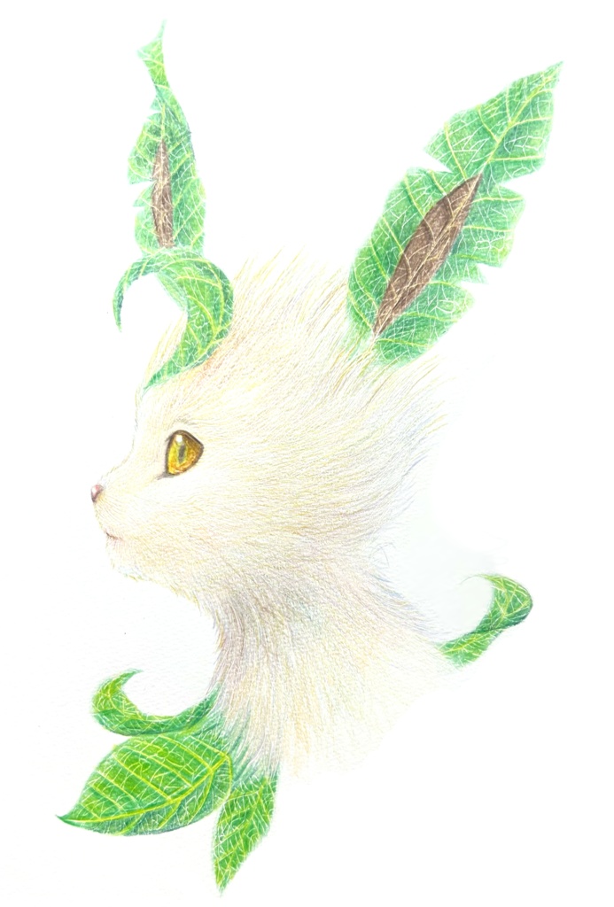 ポストカード1枚 ブイズ リアルポケモンイラスト