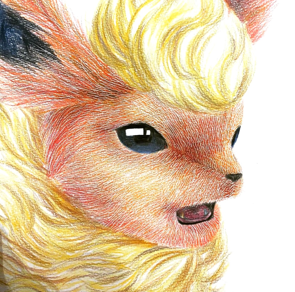 ポストカード1枚 ブイズ リアルポケモンイラスト