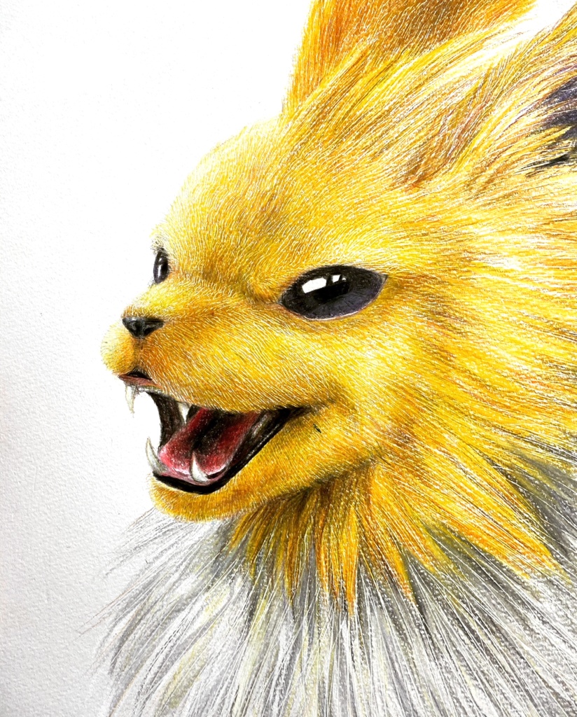 ポストカード1枚 ブイズ リアルポケモンイラスト