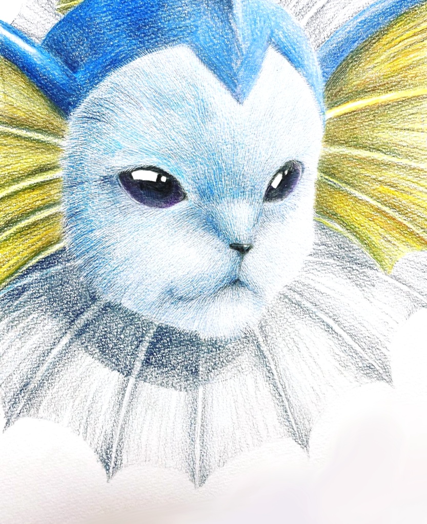 ポストカード1枚 ブイズ リアルポケモンイラスト