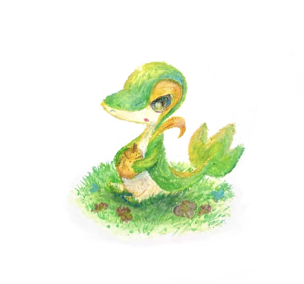 ポケモンイラスト ポストカード1枚