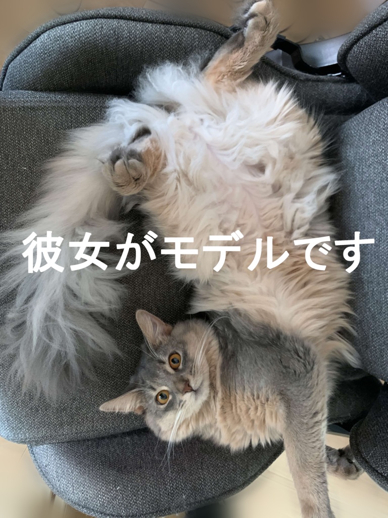 【SALE】Somali Cat Ear Tail【猫耳&しっぽ】