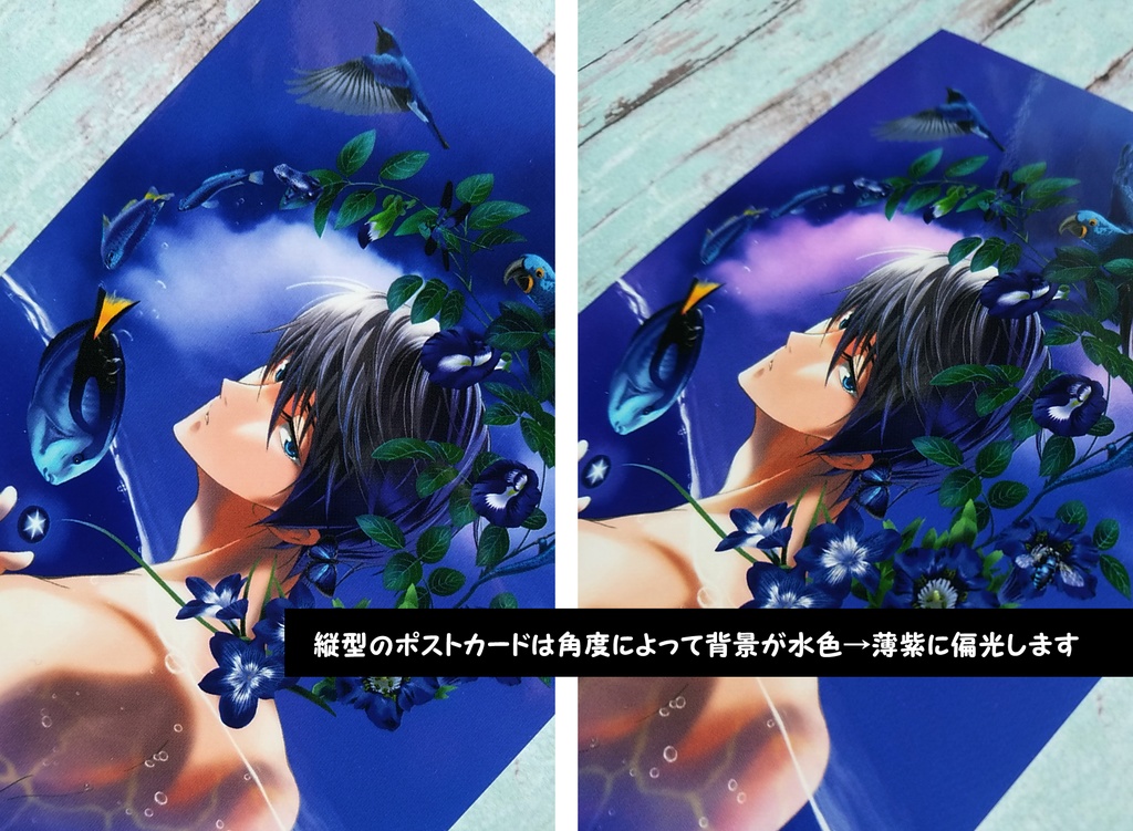 Free! ポストカード