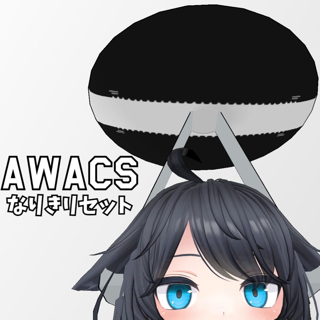 AWACSなりきりセット