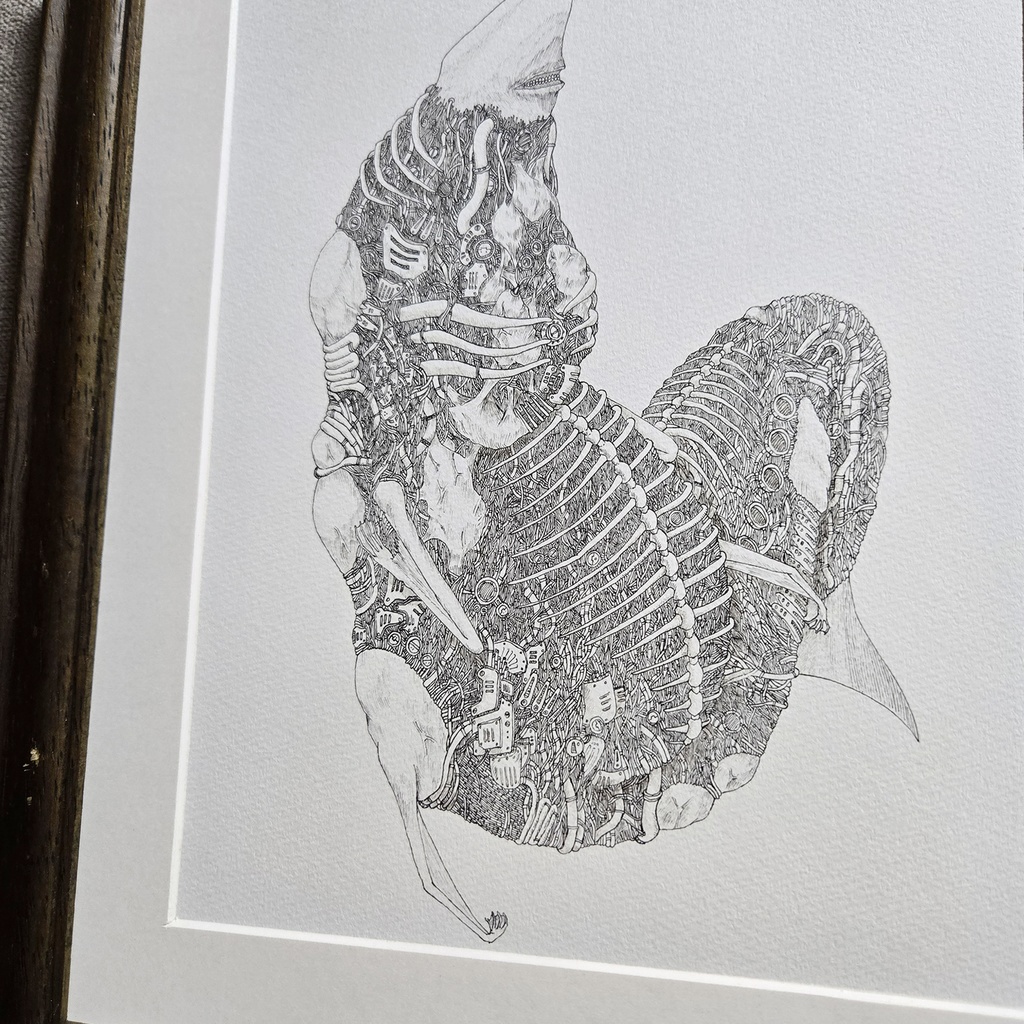 イラスト原画「鮫」