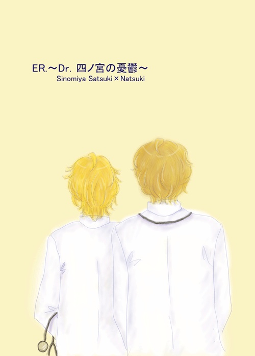 小説『ER.～Dr.四ノ宮の憂鬱～』砂那