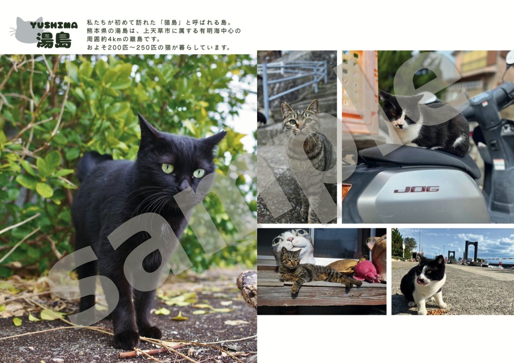【フォトZINE】九州のネコたち。 Vol.1