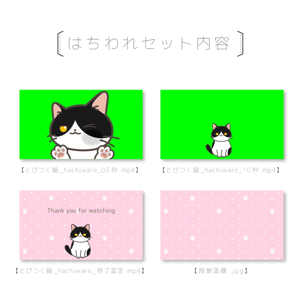 【とびつくねこ】動画素材セット(みけねこ・しろねこ・はちわれ)