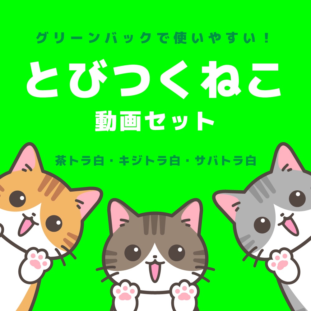 【とびつくねこ】動画素材セット（茶トラ白・キジトラ白・サバトラ白）