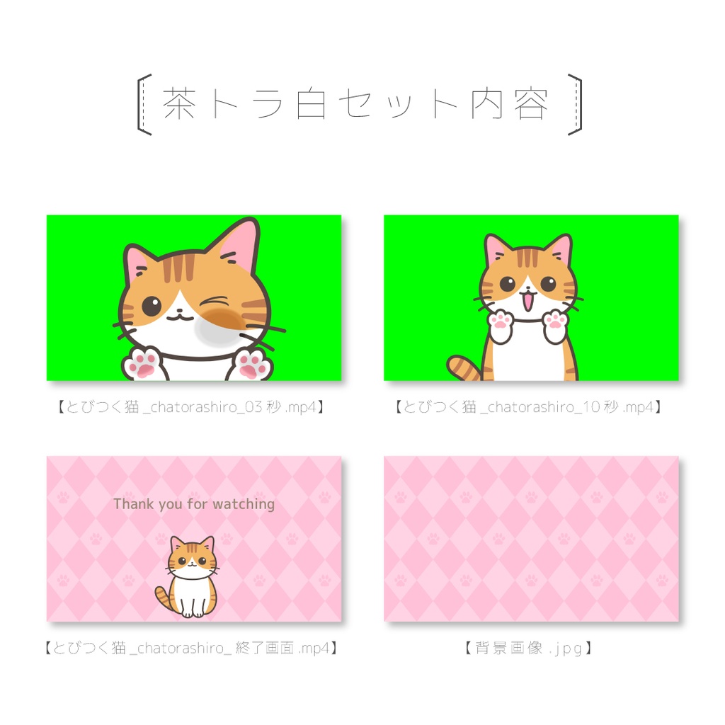 【とびつくねこ】動画素材セット(茶トラ白・キジトラ白・サバトラ白)