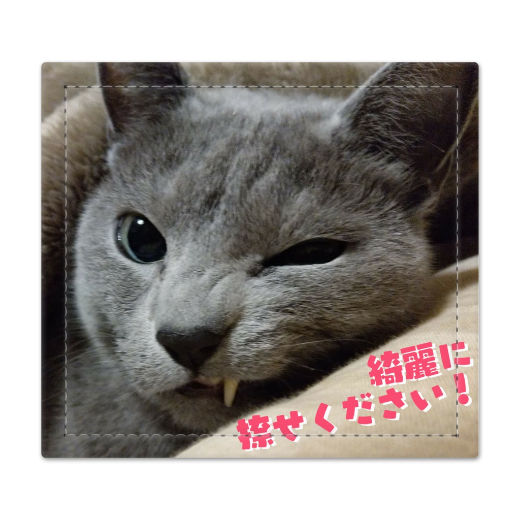 猫にマネー捺印マット№１