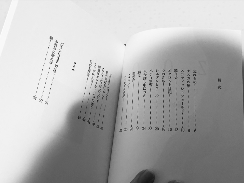 詩集『ZOO』(初版)おまけ付き