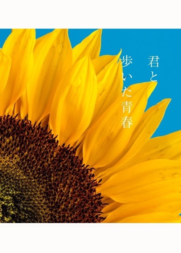 君と歩いた青春