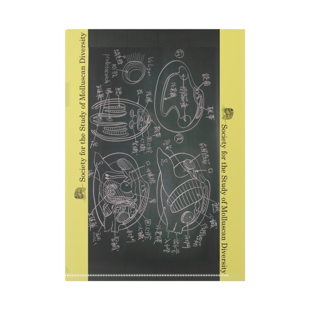 黒板イラスト クリアファイル