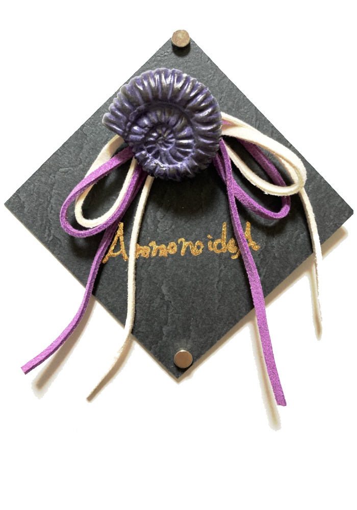 AmmonoideA(ポニーフックver)