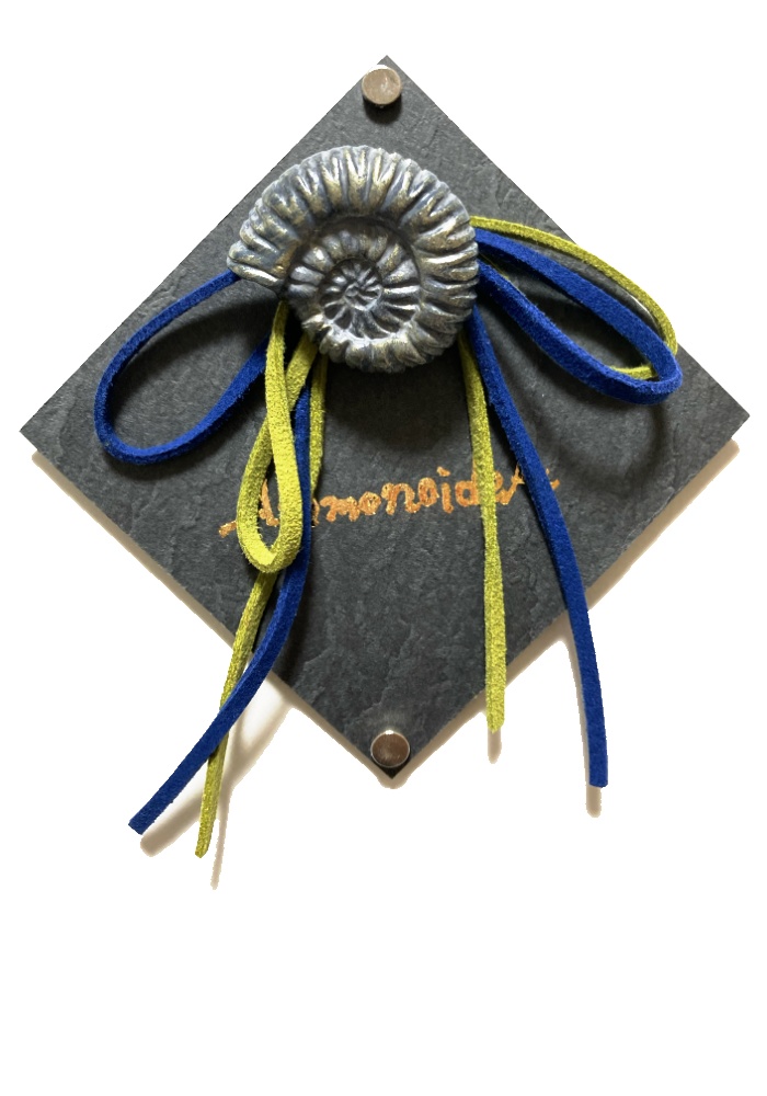 AmmonoideA(ポニーフックver)