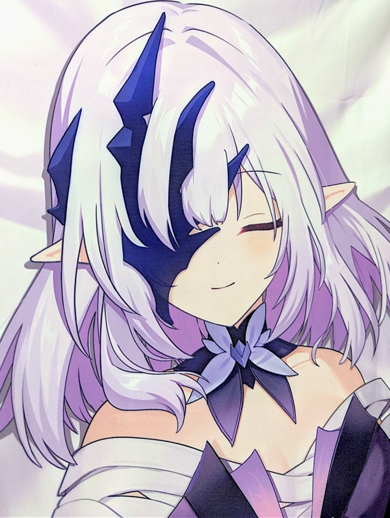 【C106先行予約】キャストリス & ボリュシア 抱き枕カバー【崩壊スターレイル】