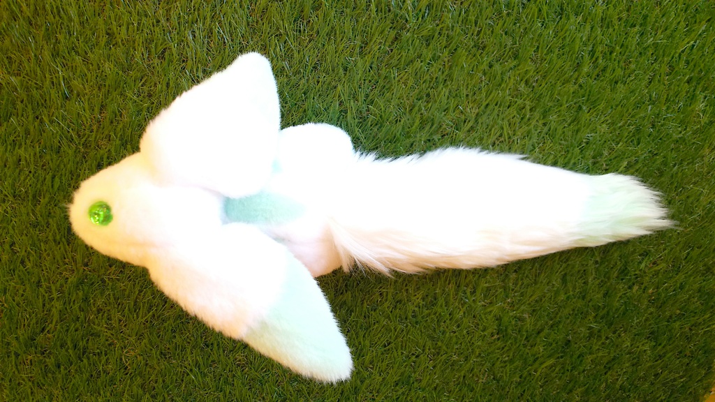 幻想抱く小動物【ティティトリア】 たれ耳個体