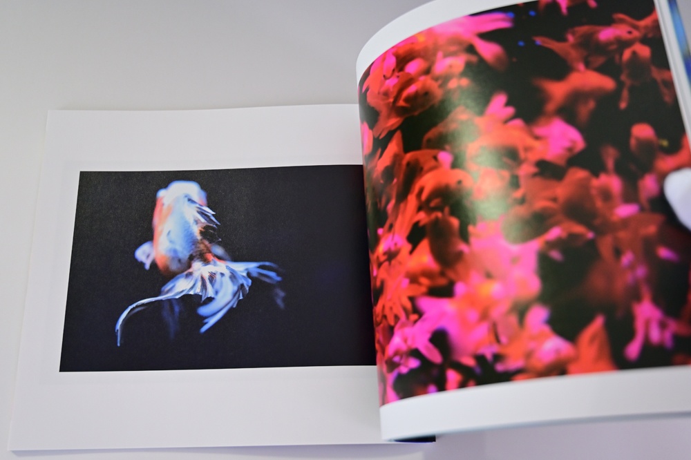 数量限定【オリジナルスリムケース付き】水咲奈々写真集「みずあかり」