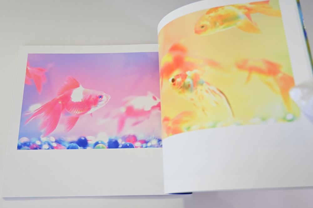 数量限定【オリジナルスリムケース付き】水咲奈々写真集「みずあかり」