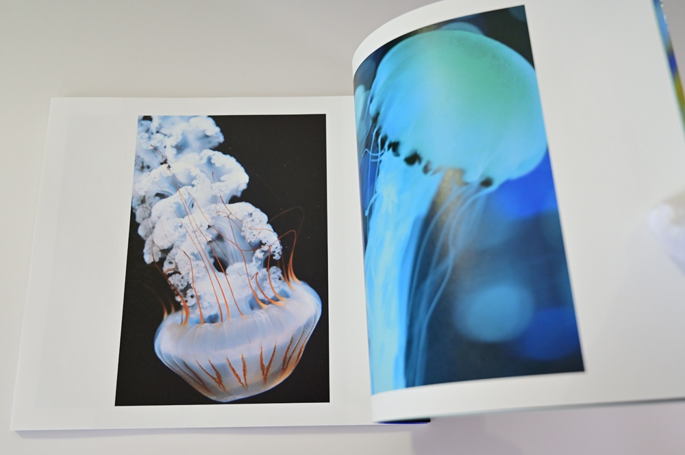 数量限定【オリジナルスリムケース付き】水咲奈々写真集「みずあかり」