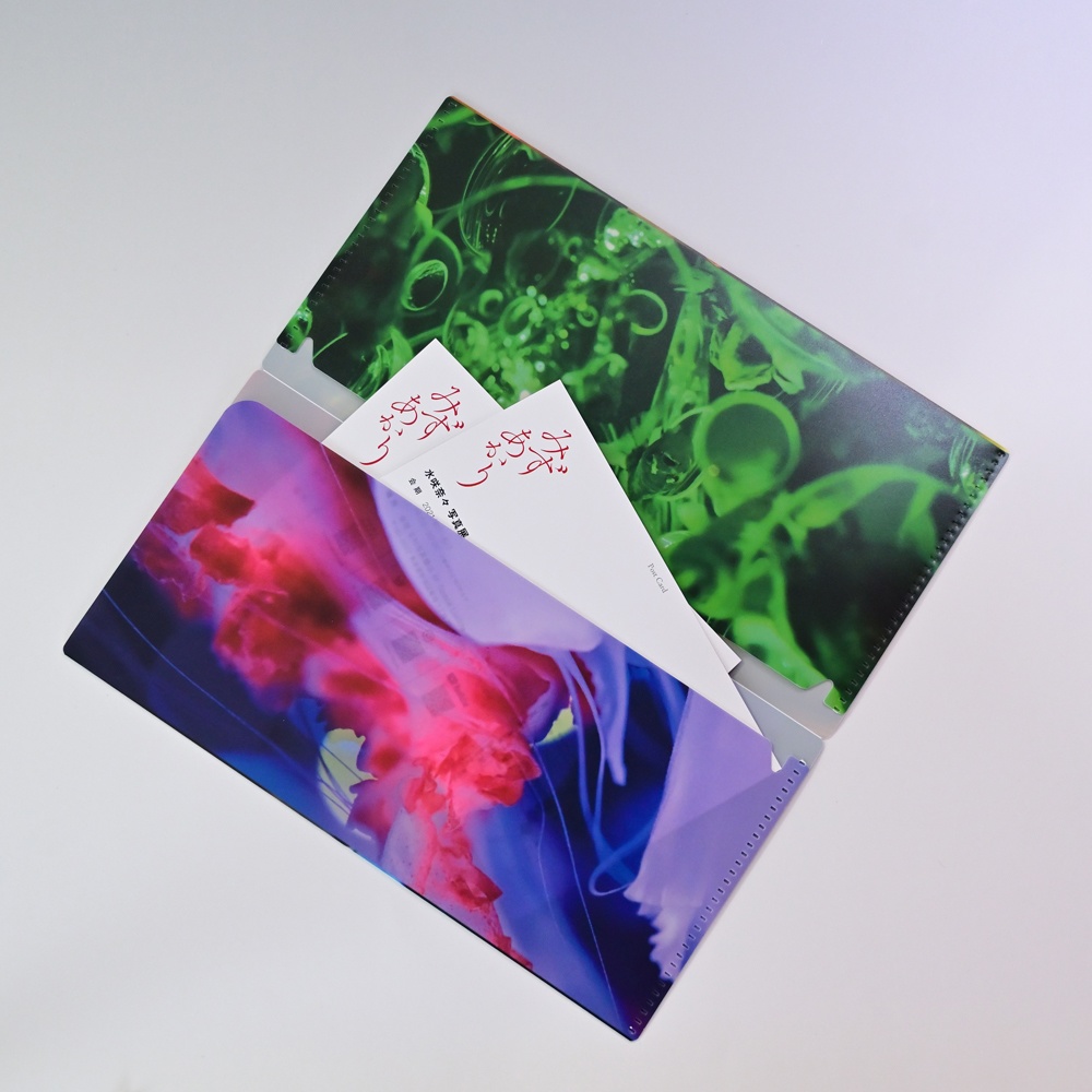 抗菌スリムケース・タイプB「オーロラ」