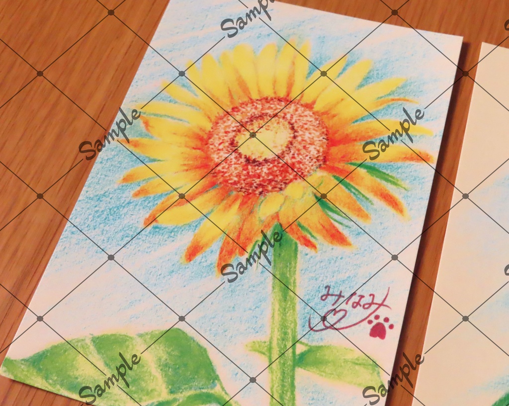 夏のお便りポストカード3種類セット