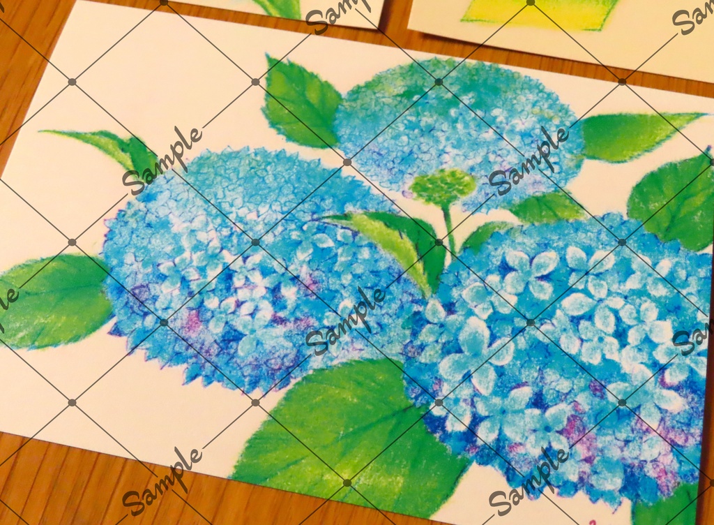 夏のお便りポストカード3種類セット