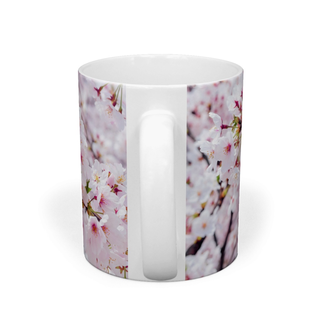 満開の桜(写真)