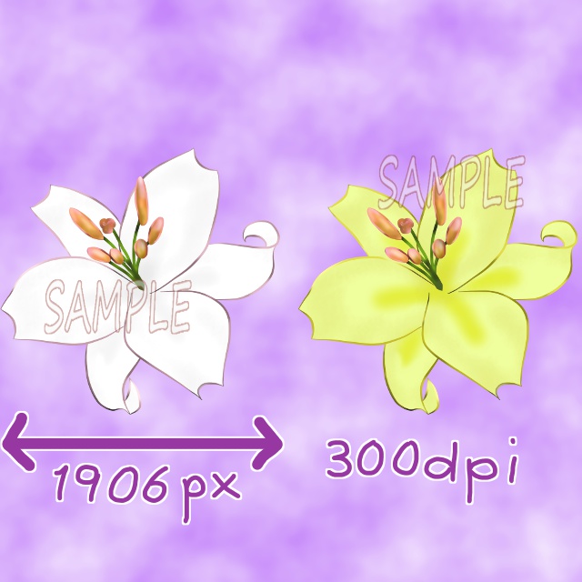 百合の花（白、黄色）