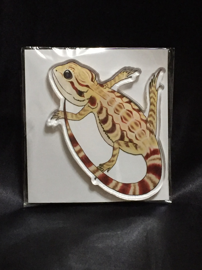 フトアゴヒゲトカゲベビーのクリップバッジ