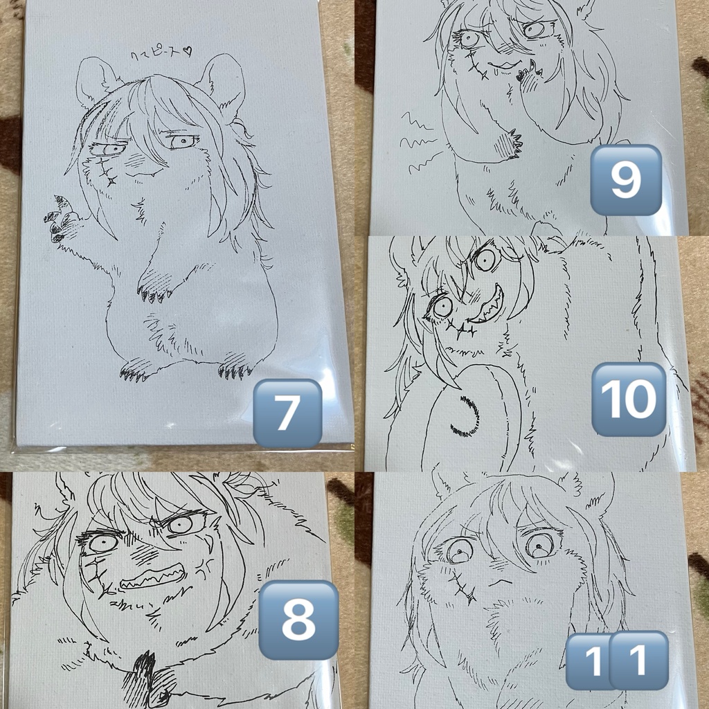 【説明書きをよくご確認ください】シロクアライブ!グッズ!!