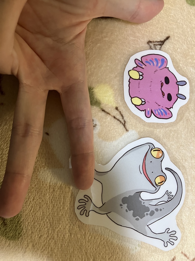 【説明書きをよくご確認ください】シロクアライブ!グッズ!!