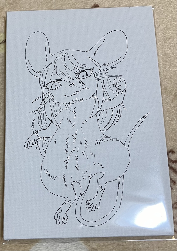 【説明書きをよくご確認ください】シロクアライブ!グッズ!!