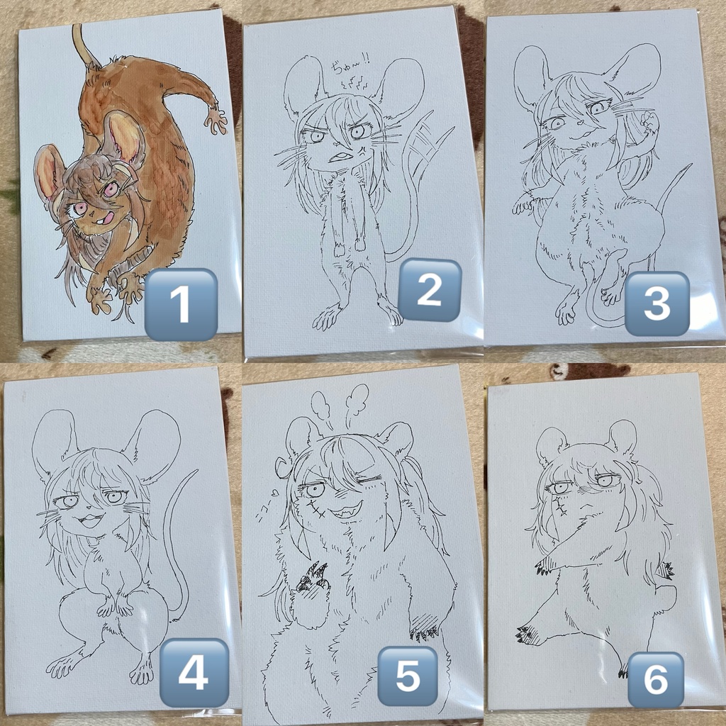 【説明書きをよくご確認ください】シロクアライブ!グッズ!!