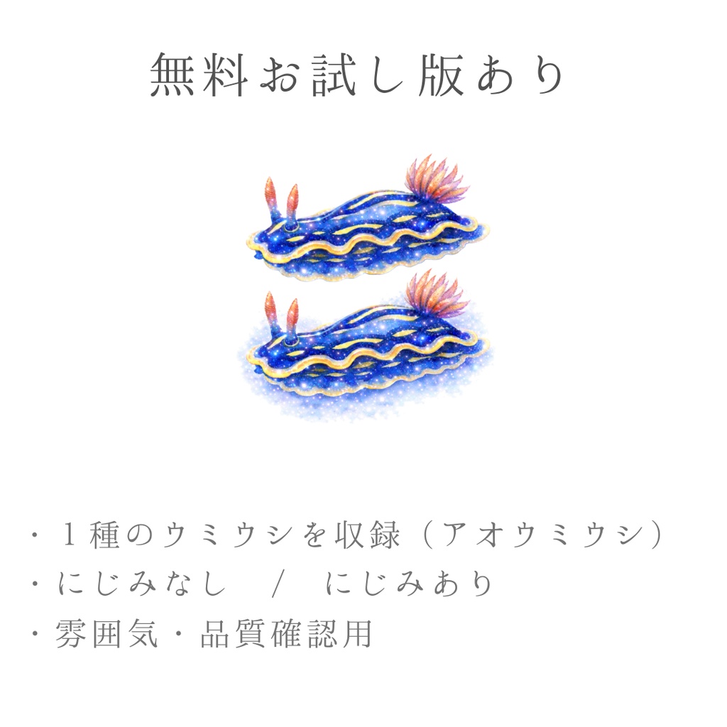 微光の海|ウミウシ水彩素材集