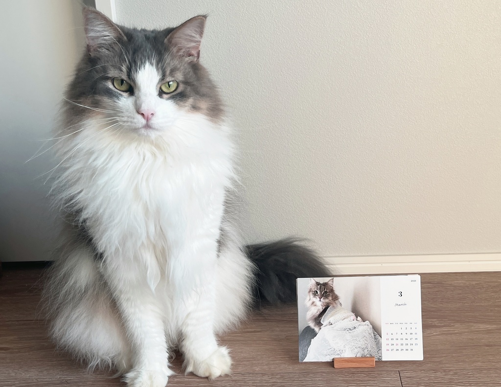 ジャックとりり様2023年オリジナルカレンダー