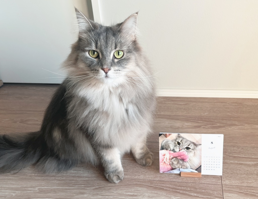 【みのりりキーホルダーセット】ジャックとりり様2023年カレンダー