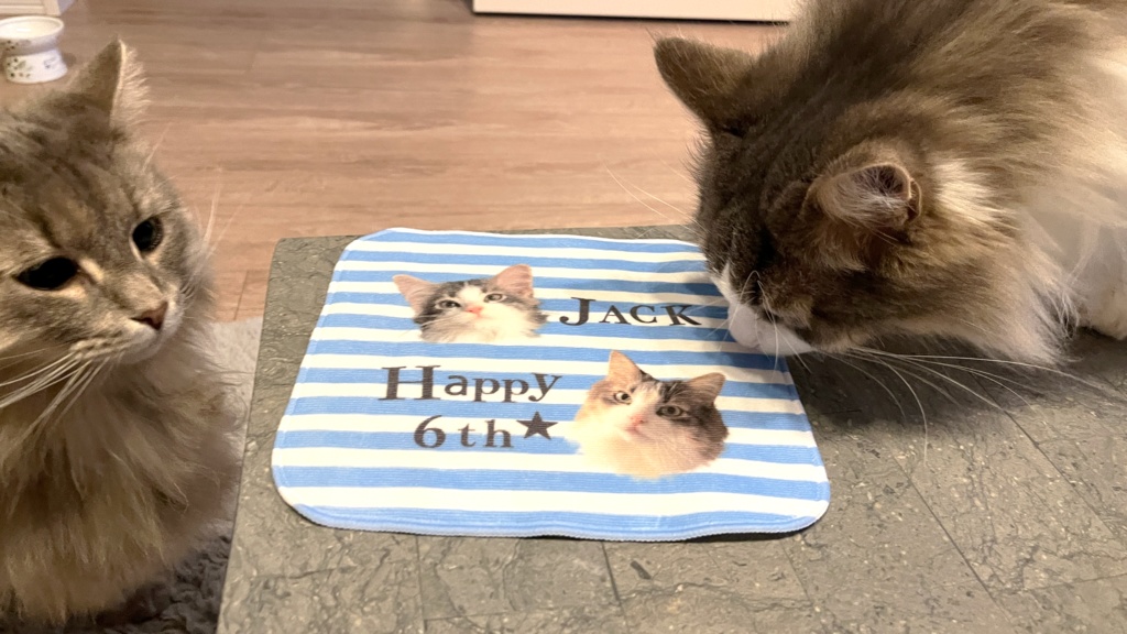 ジャックさん6歳アニバーサリーミニハンカチタオル